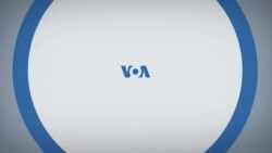 Нью-Йорк, New York: пьеса о Путине и Березовском, квартира на сдачу за $0