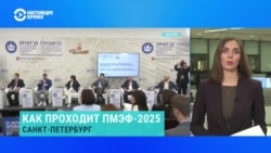 Кто приехал на Петербургский международный экономический форум 